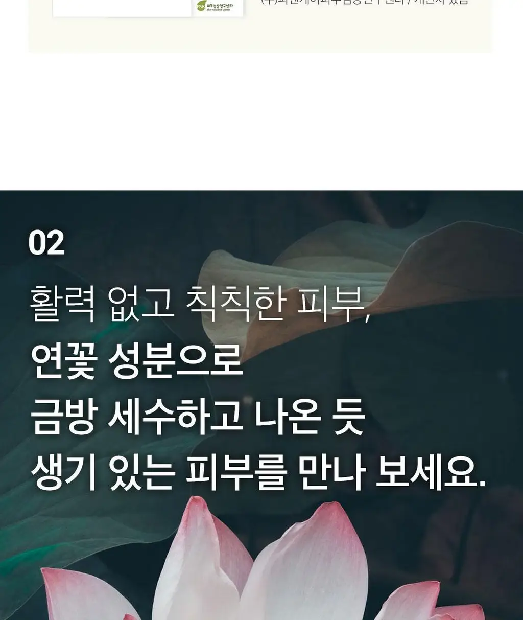 [데일리루틴/맑은안색] 아리얼 세븐데이즈 마스크 로터스 N 1매 상세페이지 15